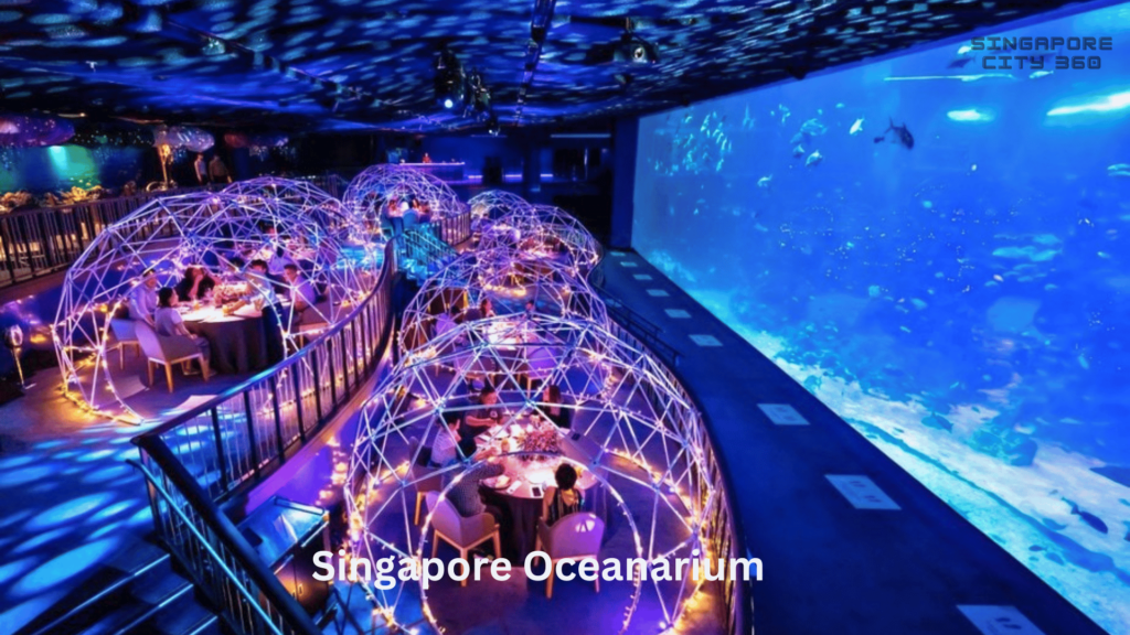 Singapore Oceanarium