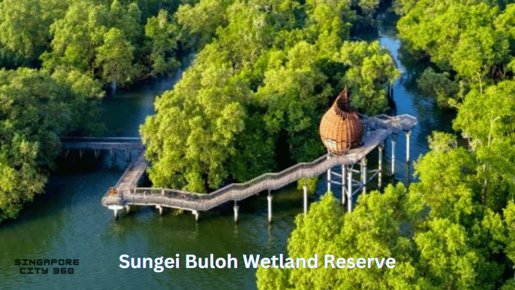 sungei buloh wetland