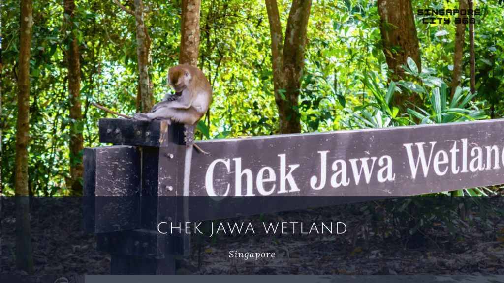 chek jawa wetland signboard